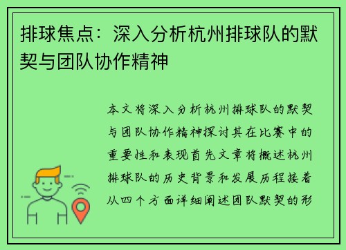 排球焦点：深入分析杭州排球队的默契与团队协作精神